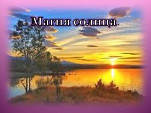 солнце дерево