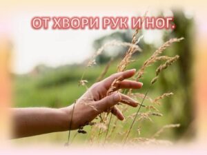 От ломоты рук и ног